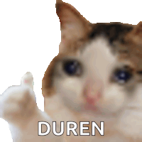 a close up of a cat with the word duren written on the bottom