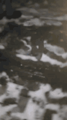 a black and white photo of a person swimming