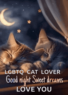 a couple of cats sleeping next to each other with the words lgbtq cat lover good night sweet dreams love you