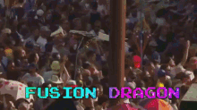 dragon2019 crowd