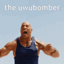Uwubomber Theuwubomber GIF - Uwubomber Theuwubomber Muscles GIFs
