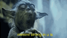 Yoda Mimimi Mimimi Yoda GIF - Yoda Mimimi Mimimi Yoda GIFs
