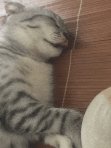 a cat is sleeping on a mat with its mouth open