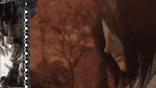 a close up of a man 's face with a bow in the background