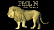 Pmln Pmln For Pakistan GIF