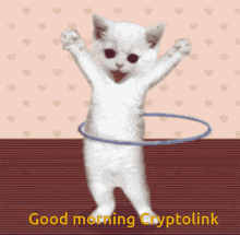Cryptolink GIF - Cryptolink GIFs