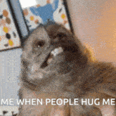 Monkey Hug GIF - Monkey Hug Hug Meme GIFs