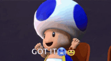 Toad Hype GIF - Toad Hype Got It GIFs