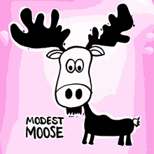 Modest Moose Veefriends GIF - Modest Moose Veefriends Humble GIFs