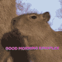 Kinoplex Capybara GIF - Kinoplex Capybara GIFs