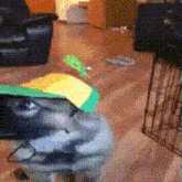 a dog wearing a green and yellow hat is sitting on a stool