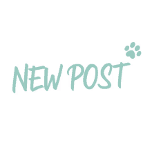 new post petsxl dog cat online