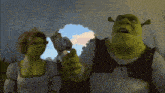 shrek and fiona looking through a hole in a tent