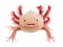 Axolotl Dopadne Cie GIF - Axolotl Dopadne Cie Dopadne GIFs