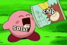 chip cotr 501st