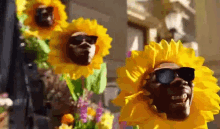 Sunflowers Dornstar GIF