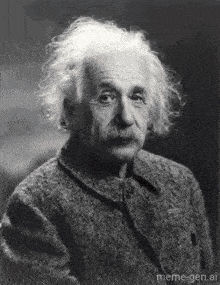 a black and white photo of albert einstein