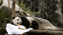 Panda Lazy GIF - Panda Lazy Cute GIFs