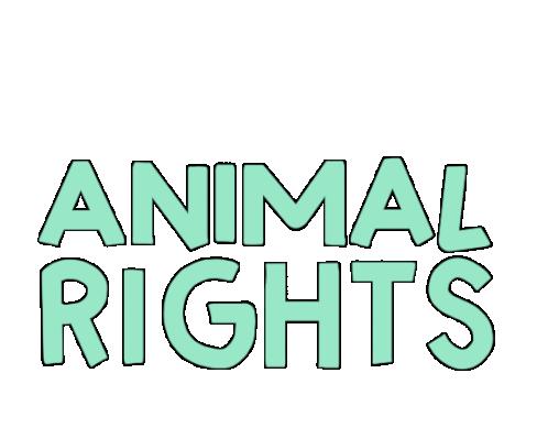 Alba Paris Vegan Sticker - Alba Paris Vegan Animal Rights Stickers