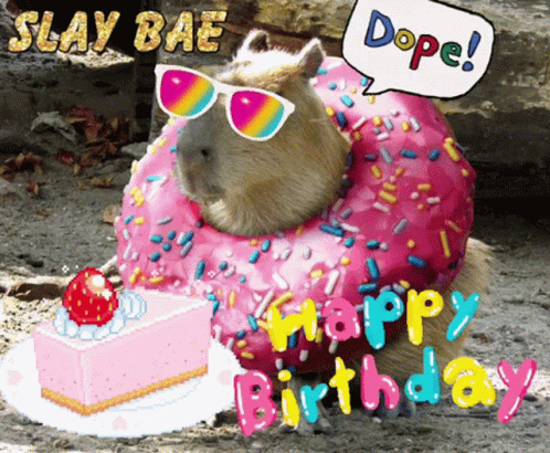 capybara-happy-birthday.gif