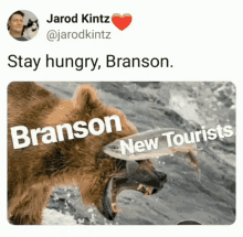 absurd tourism humor stay hungry