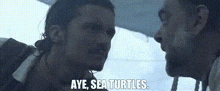 Ayy Sea Turtles Pirates Of The Caribbean GIF - Ayy Sea Turtles Pirates Of The Caribbean GIFs