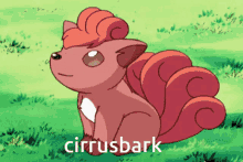Cirrus Shrimplocke GIF - Cirrus Shrimplocke Kojayevandie GIFs