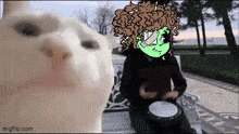 a person with curly hair is playing a drum in front of a cat