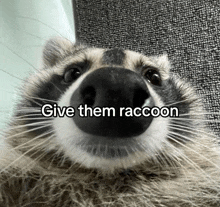Give Them Raccoon GIF