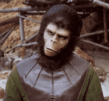 a monkey is wearing a leather jacket and a green shirt and making a funny face .