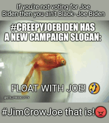 Jim Crow Joe Biden GIF - Jim Crow Joe Biden Float GIFs