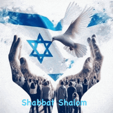 a shabbat shalom poster with a dove and a star