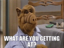 Alf What Are You Getting At GIF - Alf What Are You Getting At What Are You Trying To Say GIFs
