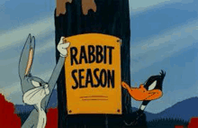 Rabbit Season GIF - Rabbit Season GIFs