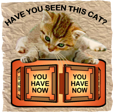 Have You Seen This Cat Lost Cat Sticker - Have You Seen This Cat Lost Cat Lost Kitten Stickers