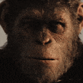 Caesar Planet Of The Apes GIF - Caesar Planet Of The Apes Andy Serkis GIFs