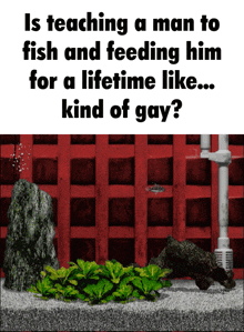 a picture of a fish tank with the caption is teaching a man to fish and feeding him for a lifetime like kind of gay ?