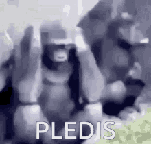 Pledis Pledis Entertainment GIF - Pledis Pledis Entertainment Nuest GIFs