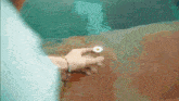 a person is holding a small white flower in their hand .