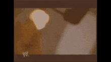 Ashley Massaro GIF - Ashley Massaro GIFs