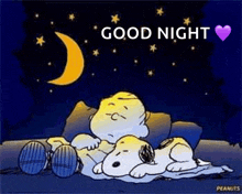 snoopy and charlie brown are sleeping next to each other on a couch under a crescent moon .