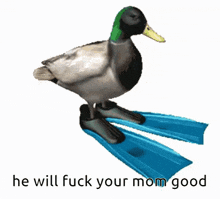 a picture of a duck with the words he will fuck your mom good