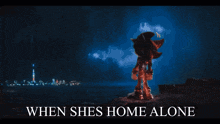 a poster that says " when she 's home alone " on it