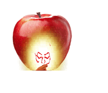 a red apple with the number 99 written in red on it