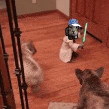 a cat is holding a green light saber and wearing a blue hat .