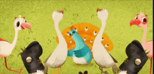 a group of birds are standing next to each other and one of them is wearing boots