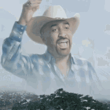Reface Cowboy GIF - Reface Cowboy Scream GIFs