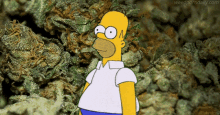 Weed Homer GIF - Weed Homer Bye GIFs