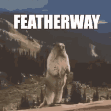 Featherway GIF - Featherway GIFs
