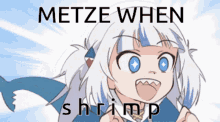 Metze Shrimp GIF - Metze Shrimp Gura GIFs